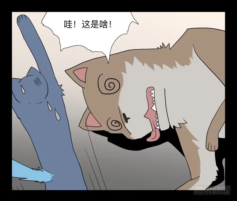 《祈灵》051-猫左犬右part1 第13页
