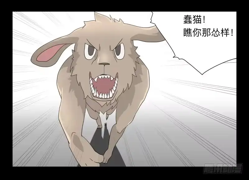 《祈灵》051-猫左犬右part1 第15页