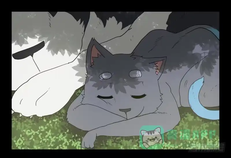 《祈灵》051-猫左犬右part1 第1页