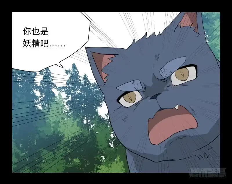 《祈灵》052-猫左犬右part2 第13页