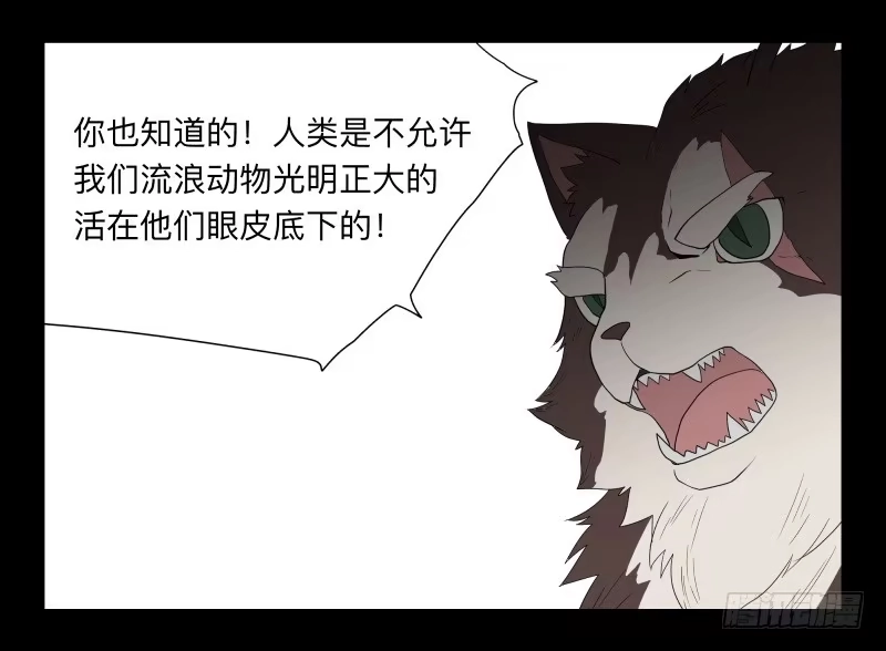 《祈灵》052-猫左犬右part2 第5页