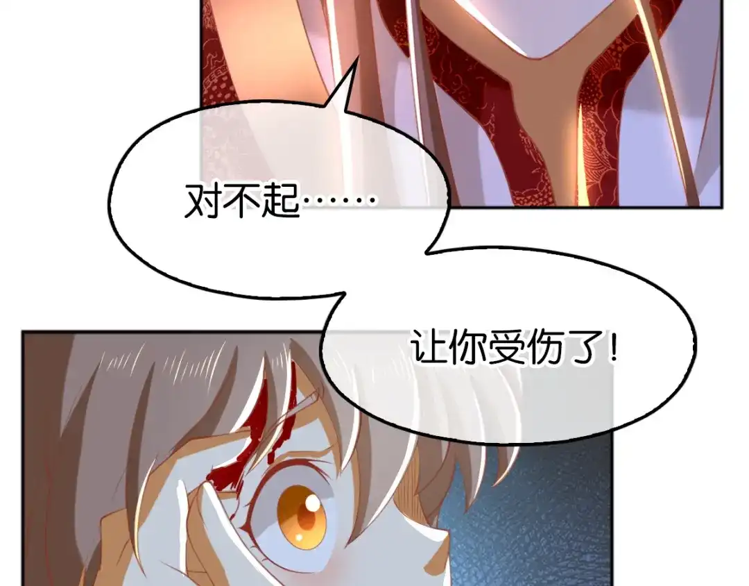 倾城狂妃 第116话 守护 第14页