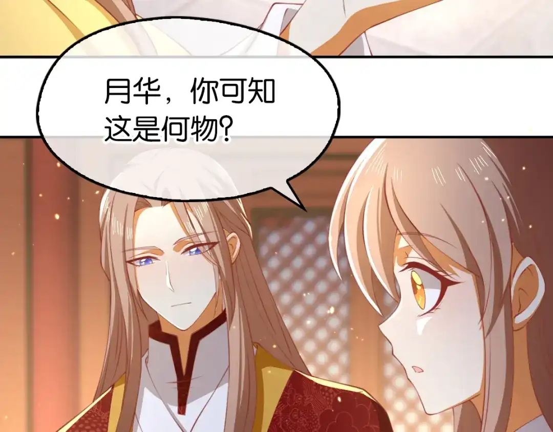 倾城狂妃 第119话 月华晴雪大婚 第24页