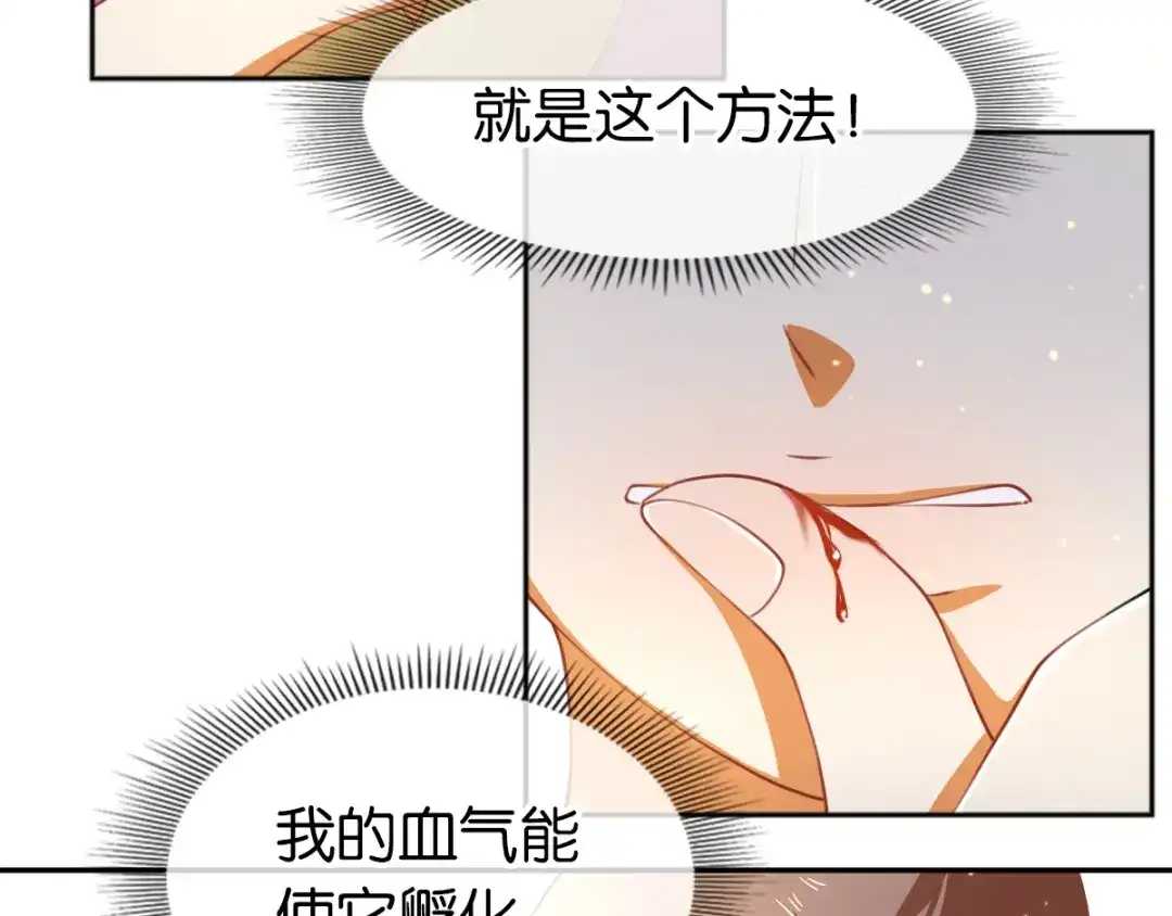 倾城狂妃 第125话 晴雪喜当妈 第62页