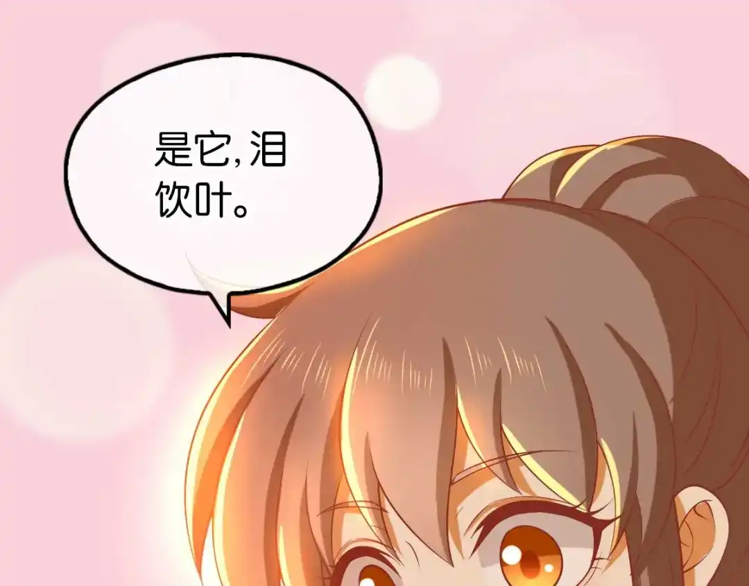 倾城狂妃 第141话 要让他们付出代价！ 第35页