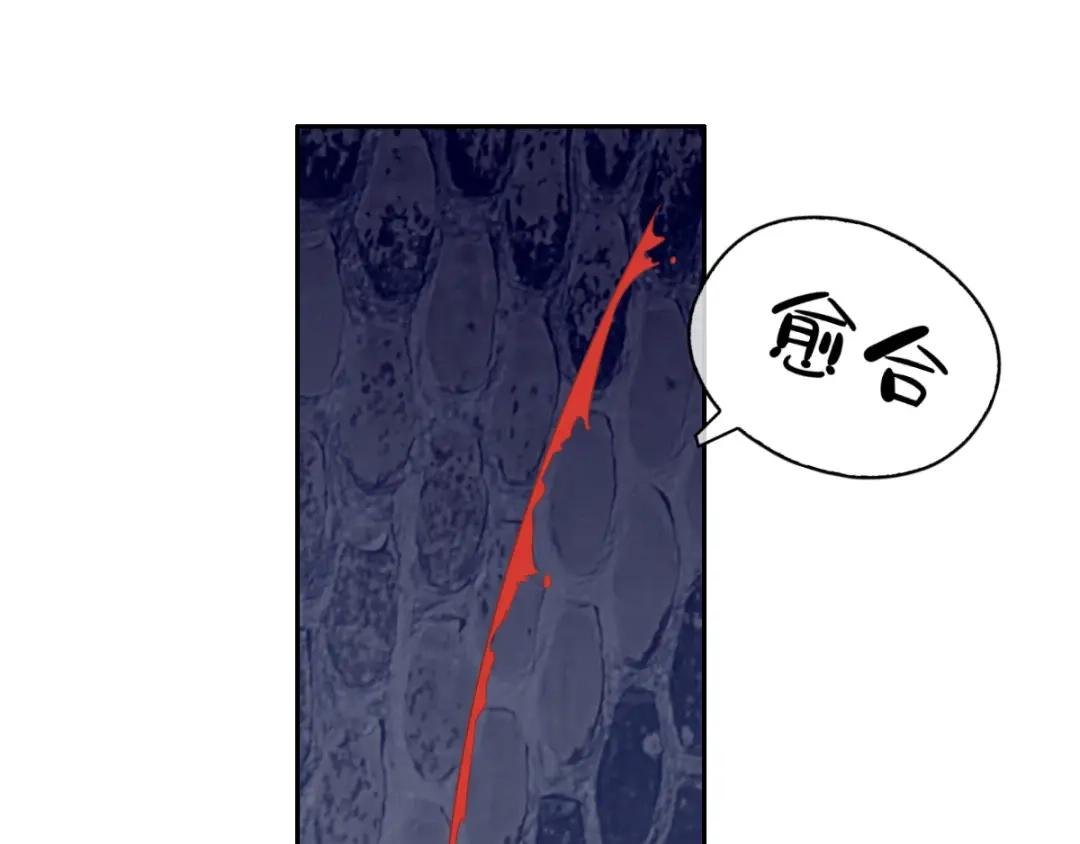 倾城狂妃 第169话 火种器皿 第48页