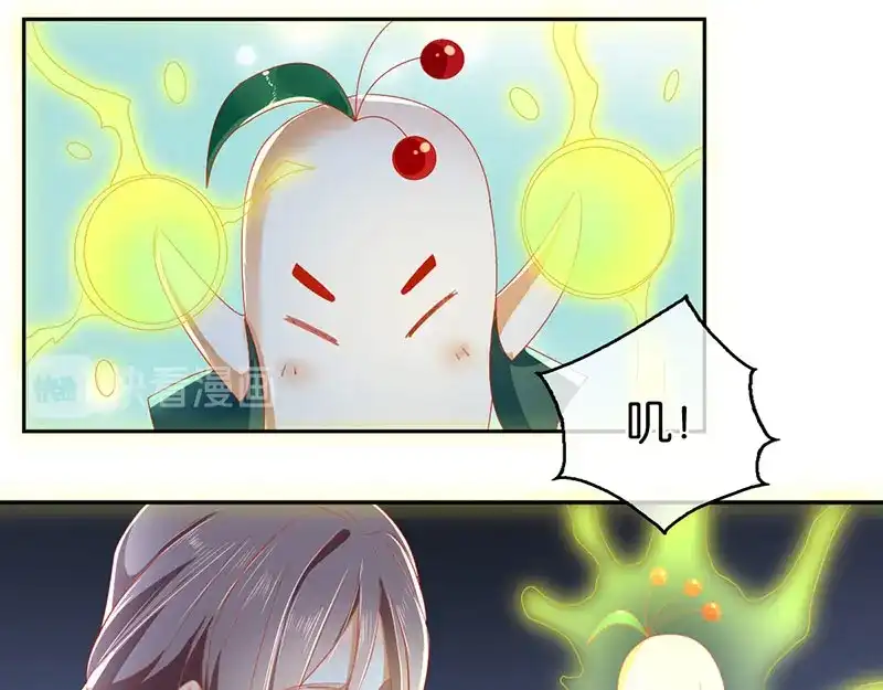 倾城狂妃 第41话 血债血偿 第29页