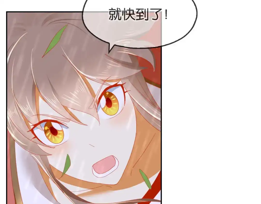 倾城狂妃 第59话 阔别重逢的幼时玩伴 第148页