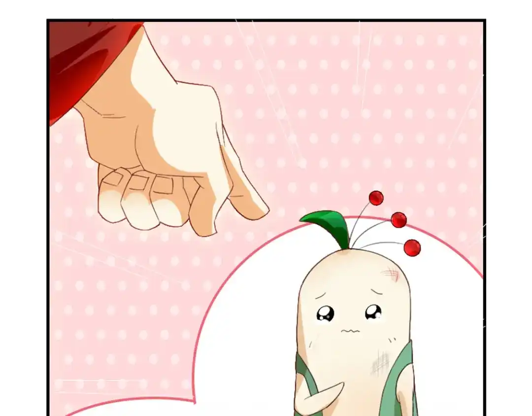 倾城狂妃 番外 小人参 第20页