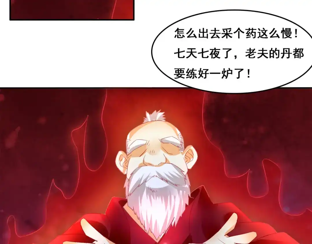 倾城狂妃 番外 小人参 第2页