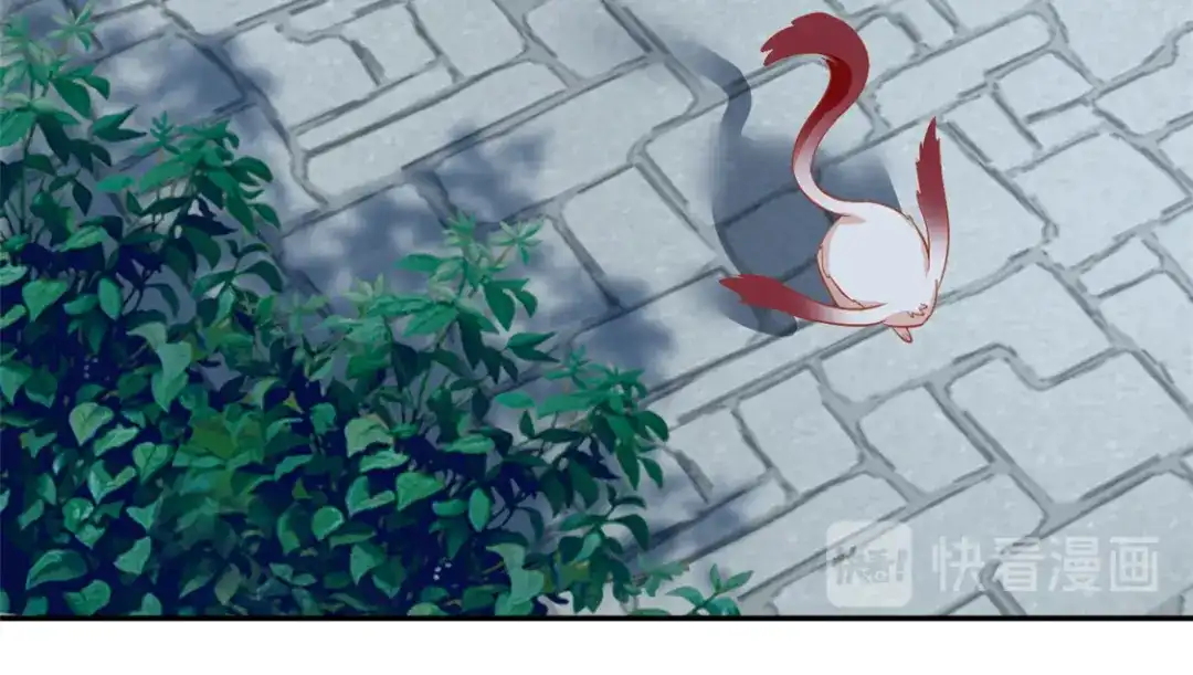 倾城狂妃 第66话 孩童离奇失踪案 第71页