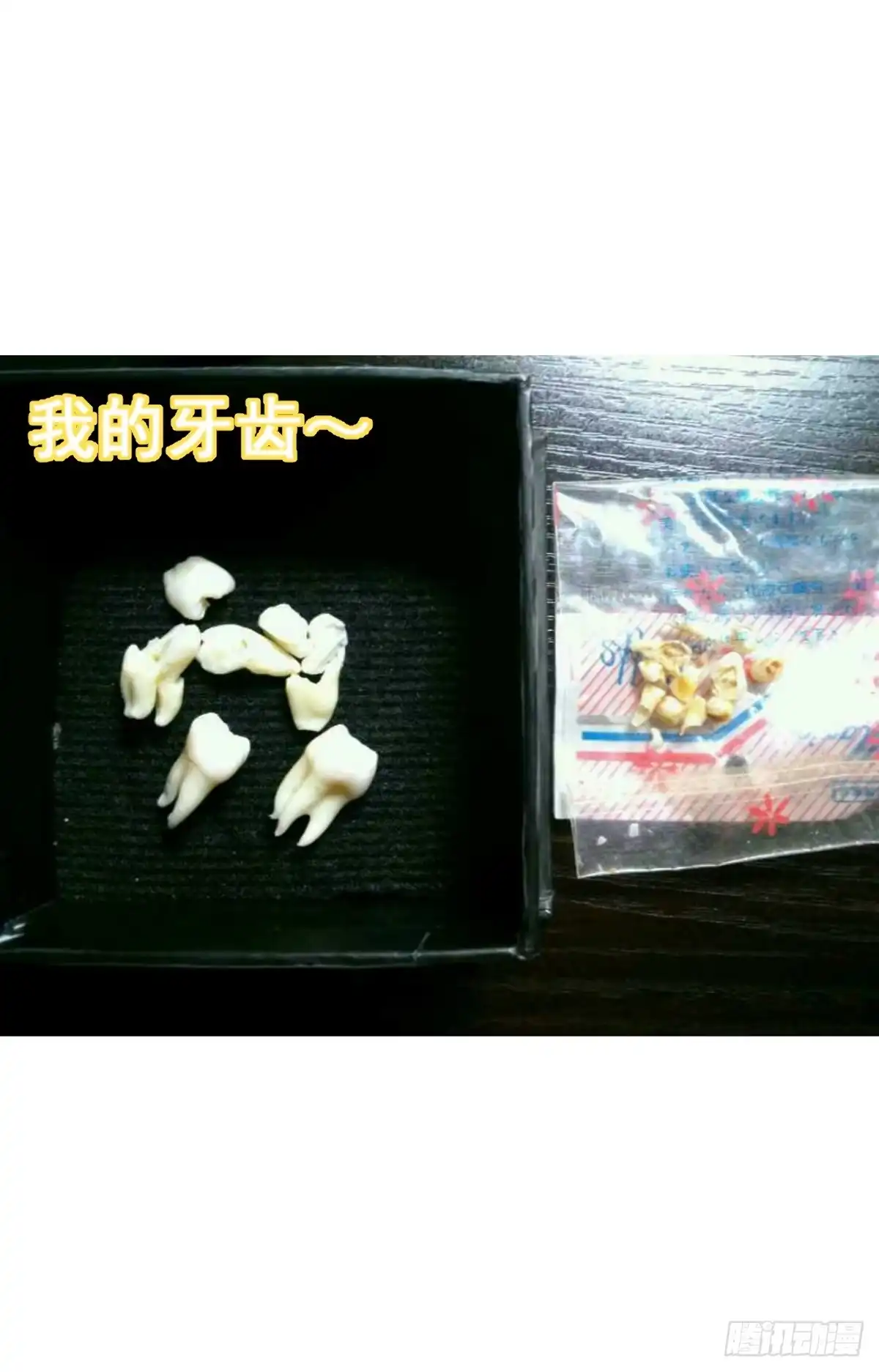《请让我安静成长2大学篇》当然是炼制本命法宝啦！ 第50页