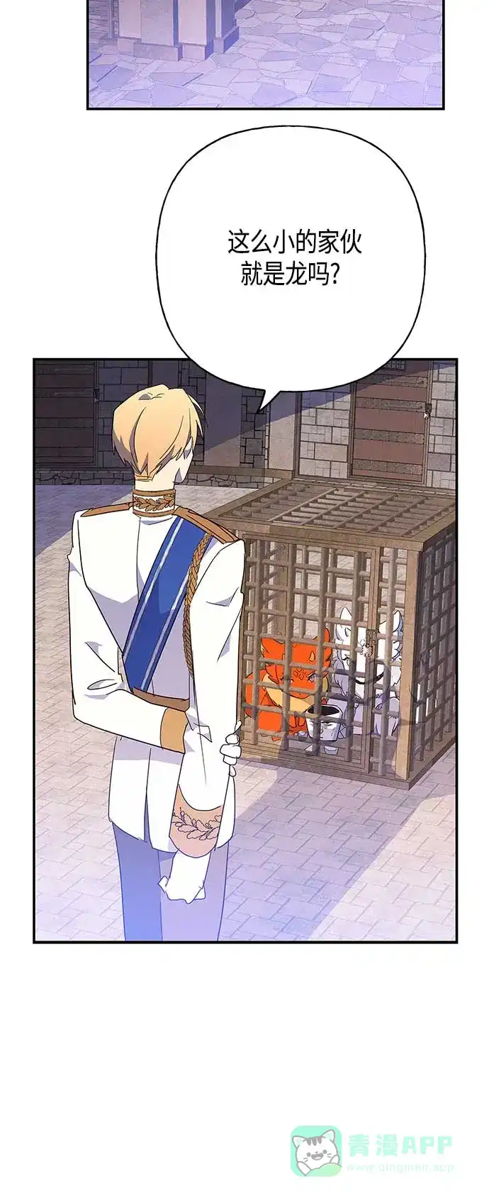 请忍忍，我的领主大人！ 第29话 第27页