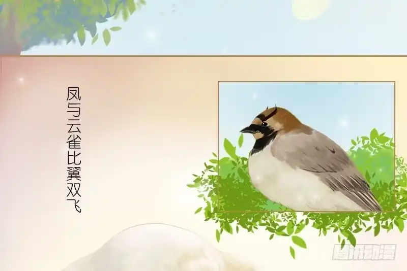 《情深不抵陈年恨》番外童话 梧桐 第3页