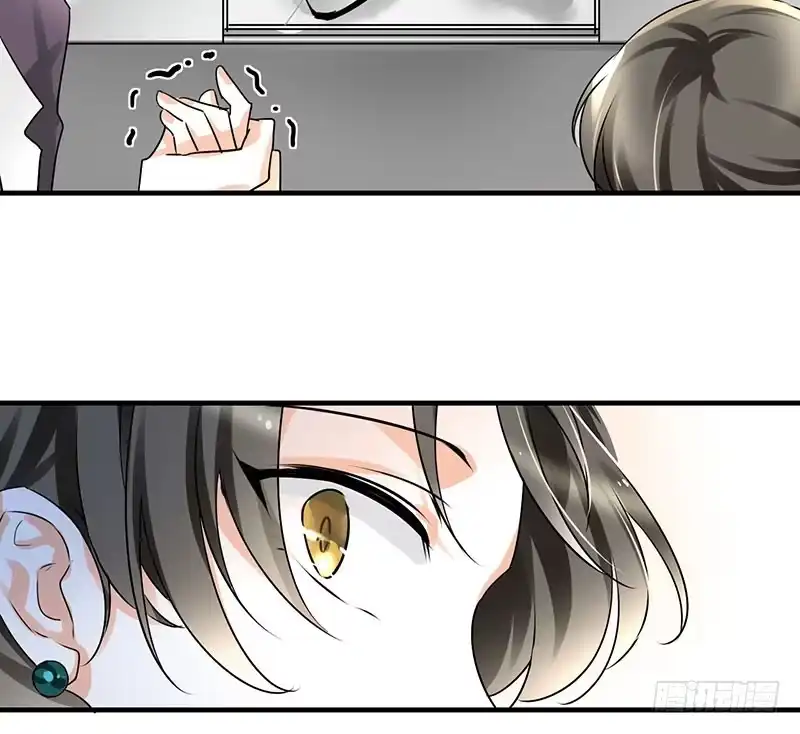 《情深不抵陈年恨》我是来应聘的 第5页