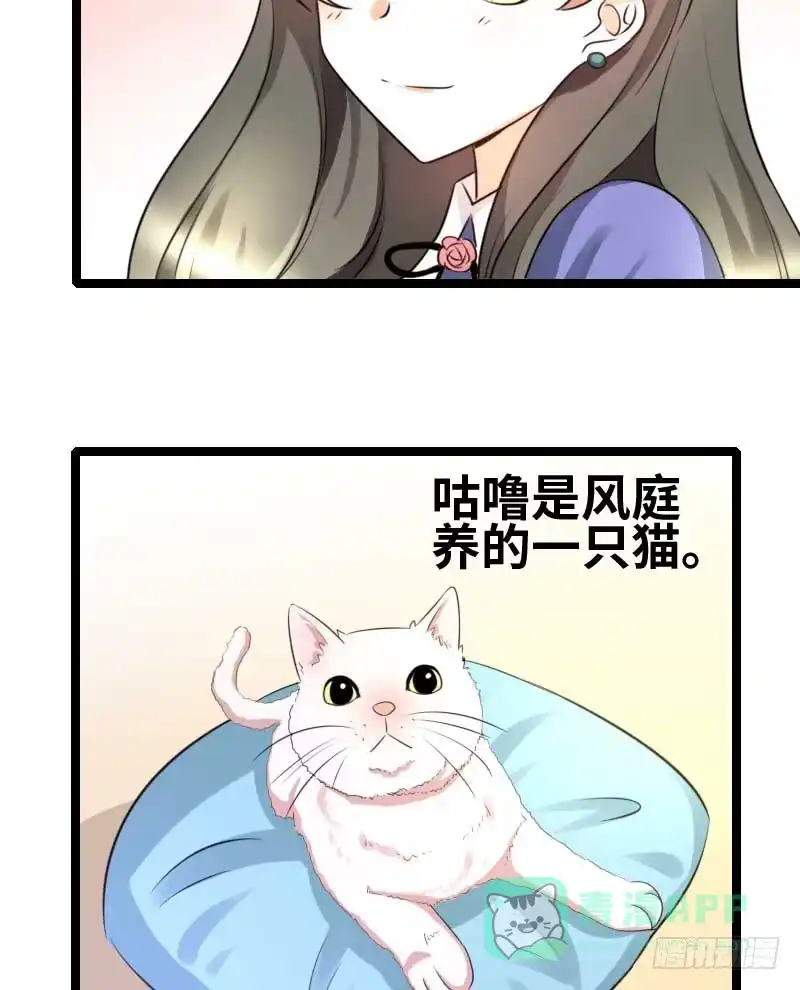 《情深不抵陈年恨》你不爽么？ 第11页