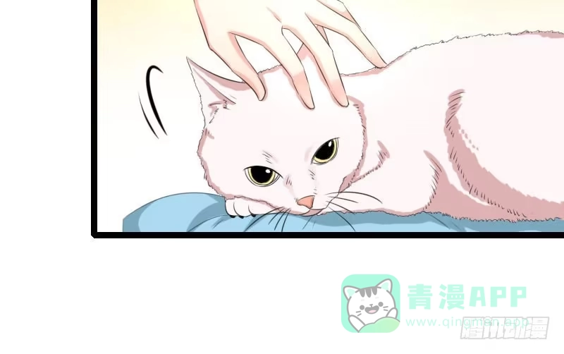 《情深不抵陈年恨》他永远不知道 第56页