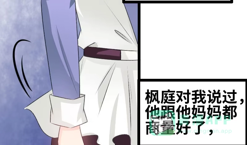 《情深不抵陈年恨》告别 第31页