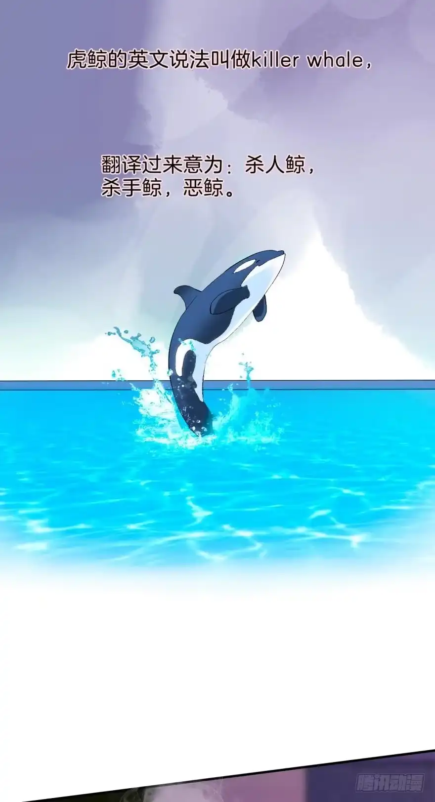 《情兽不要啊！》158话：虎鲸，杀手鲸 第7页