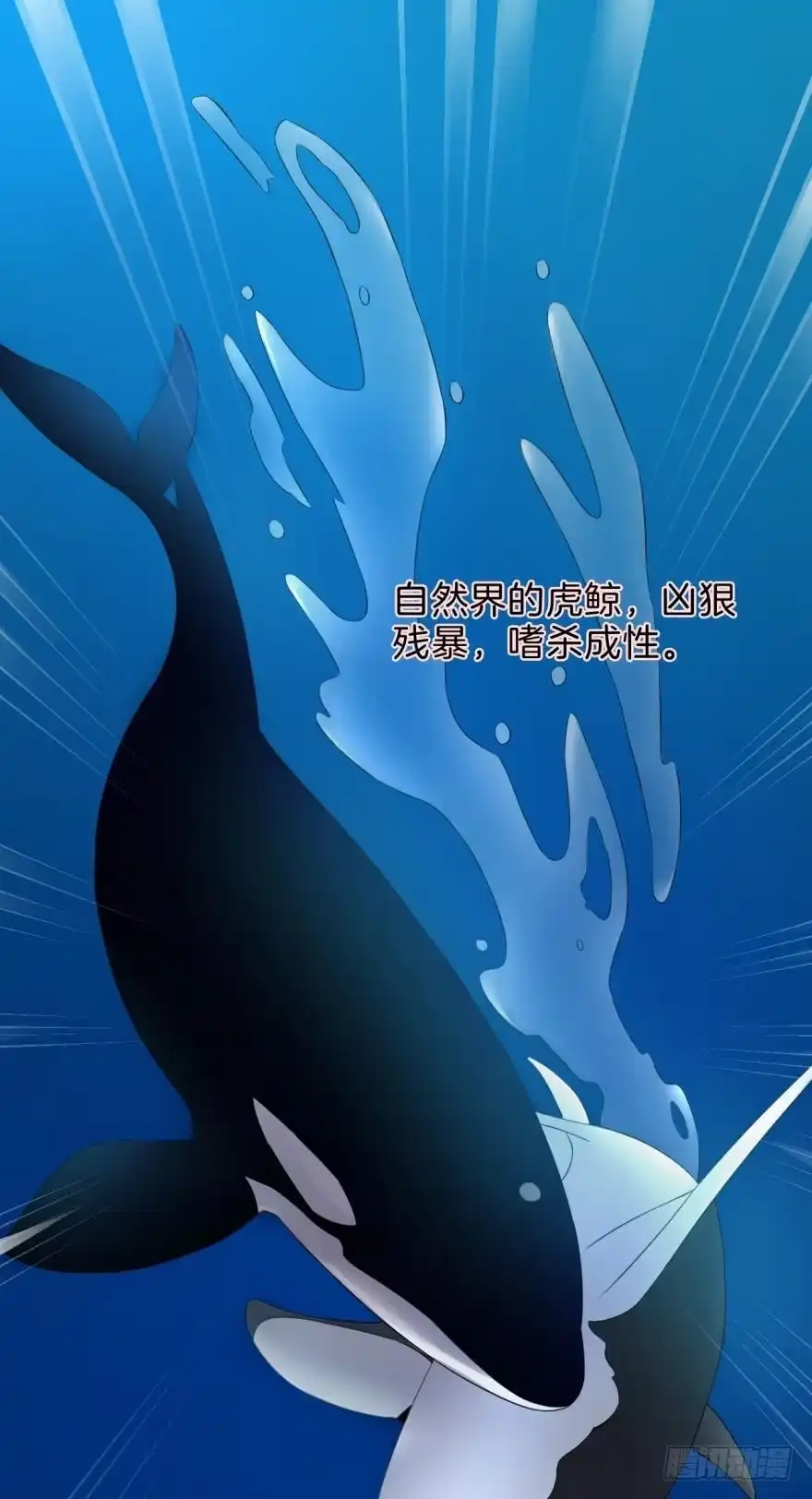 《情兽不要啊！》158话：虎鲸，杀手鲸 第5页