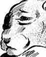 《倾听死者的声音》单话 第39回 第29页