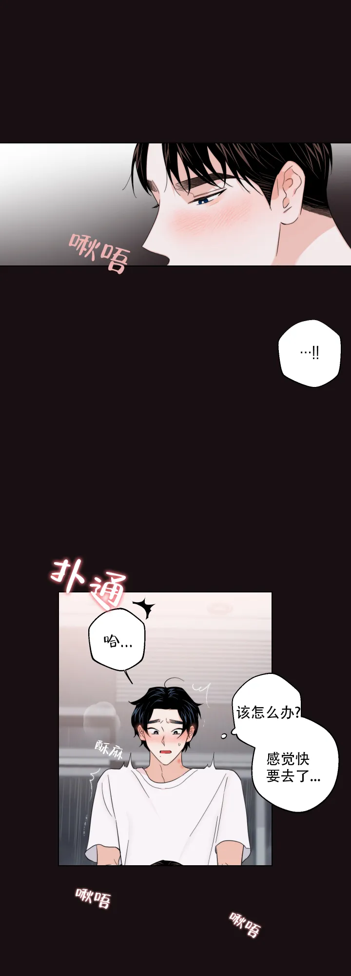 《请养我吧！》第55话 第5页