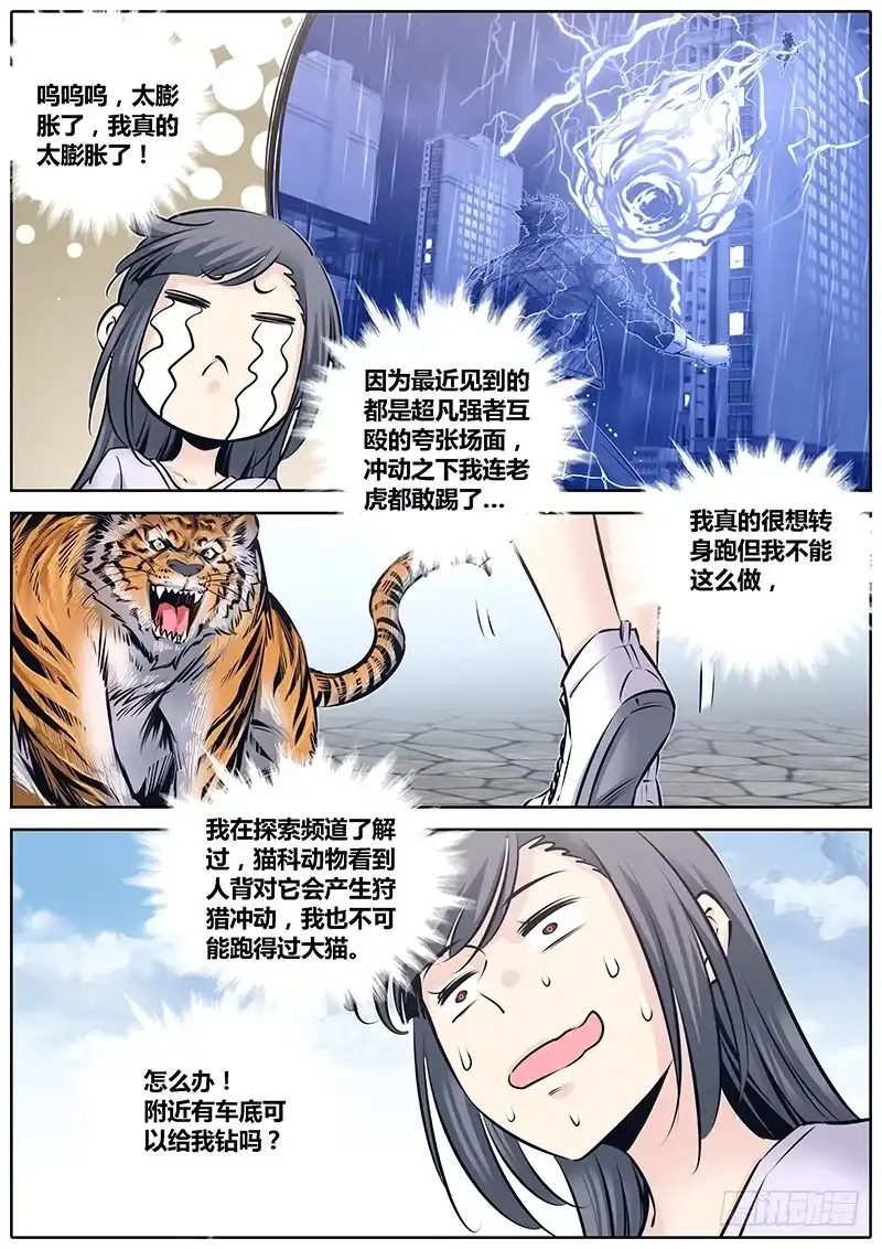《秦侠》224.大猫 第10页