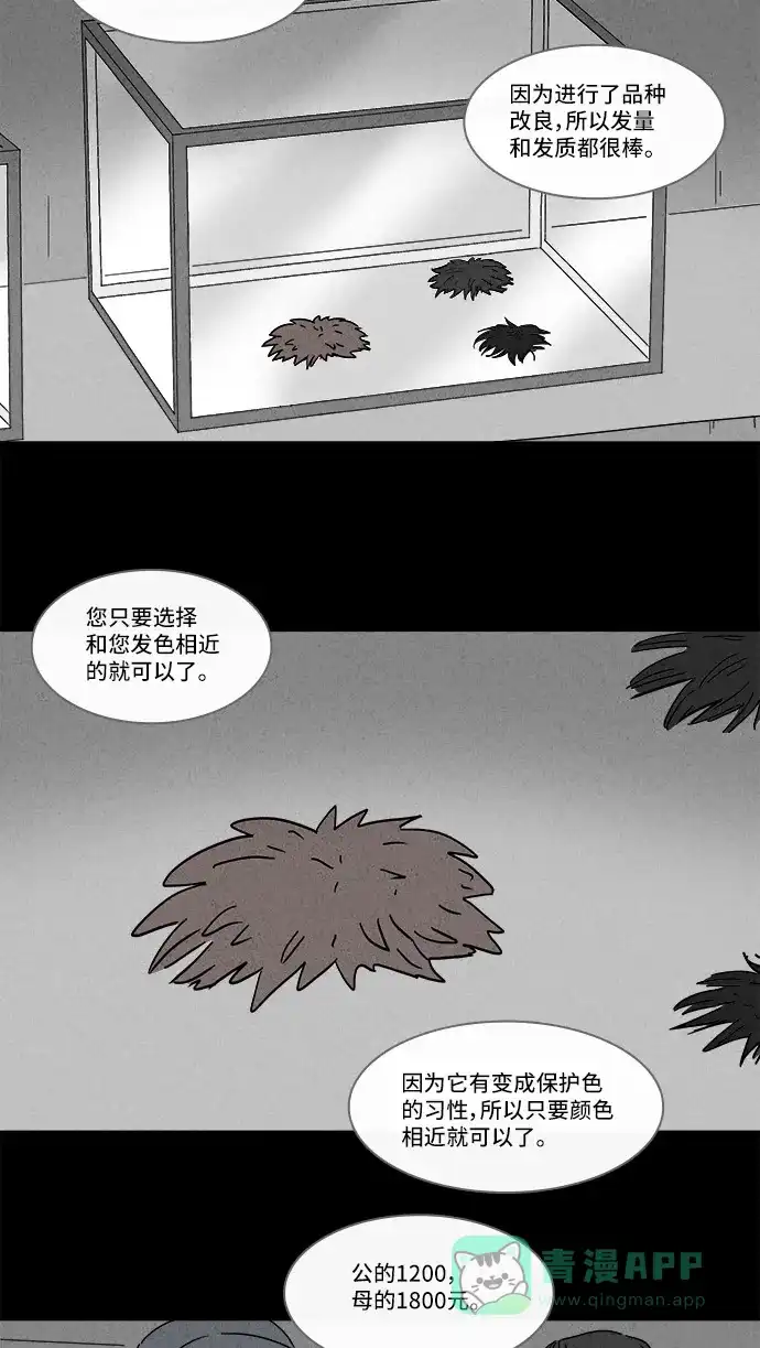 奇奇怪怪 [第139话] 宠物假发 #1 第4页