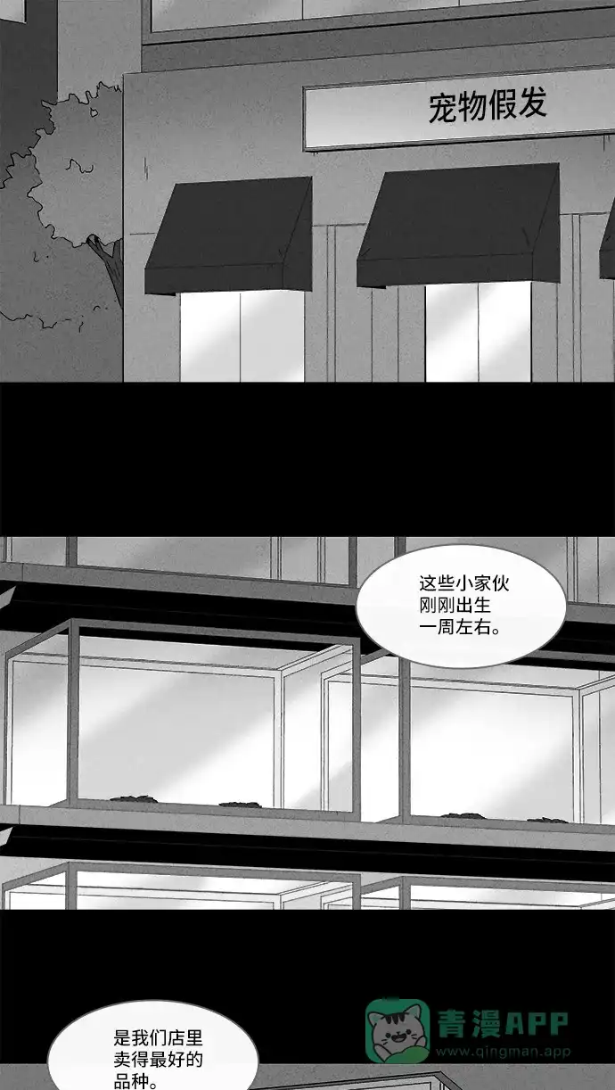 奇奇怪怪 [第139话] 宠物假发 #1 第3页