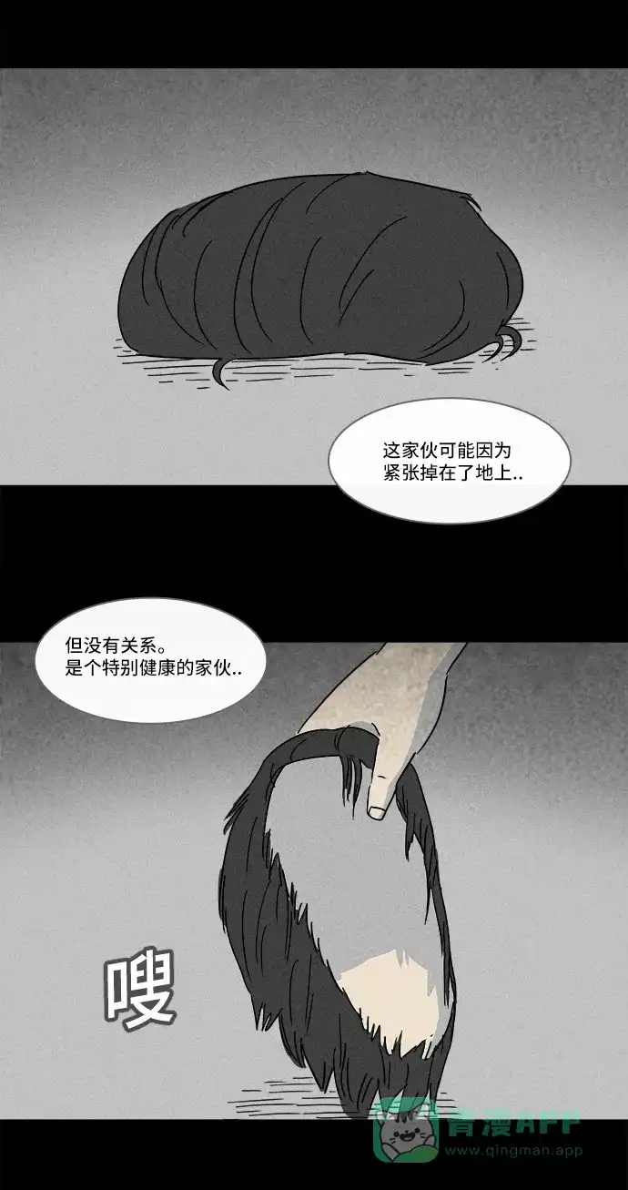 奇奇怪怪 [第139话] 宠物假发 #1 第8页
