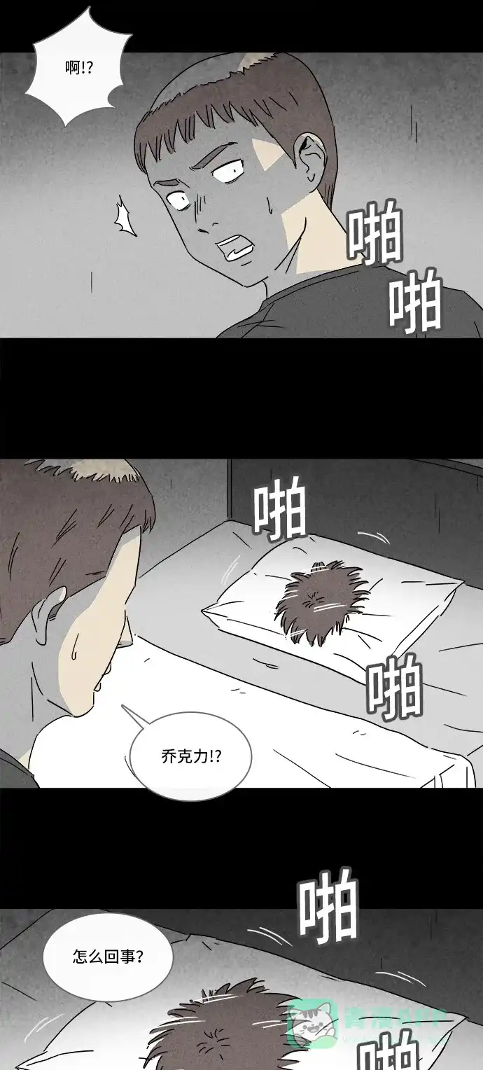 奇奇怪怪 [第141话] 宠物假发 #3 第11页