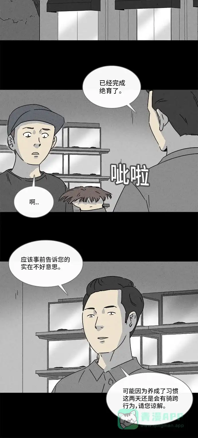 奇奇怪怪 [第141话] 宠物假发 #3 第14页