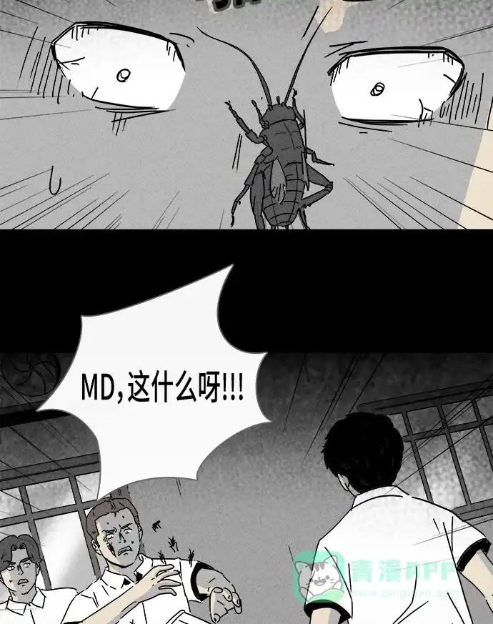 奇奇怪怪 [第196话] 虫子 #1 第29页