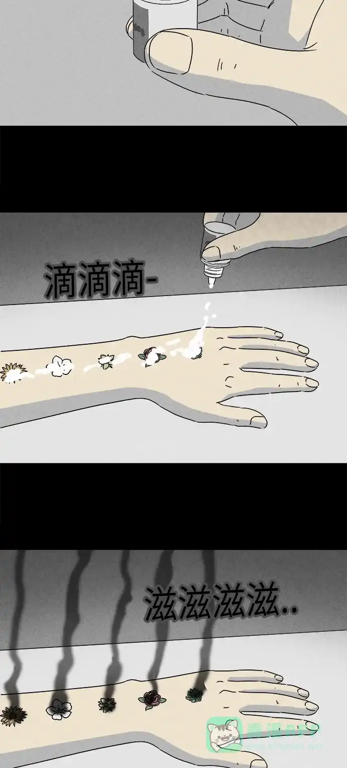 奇奇怪怪 [第256话] Acc Plants #3 第5页