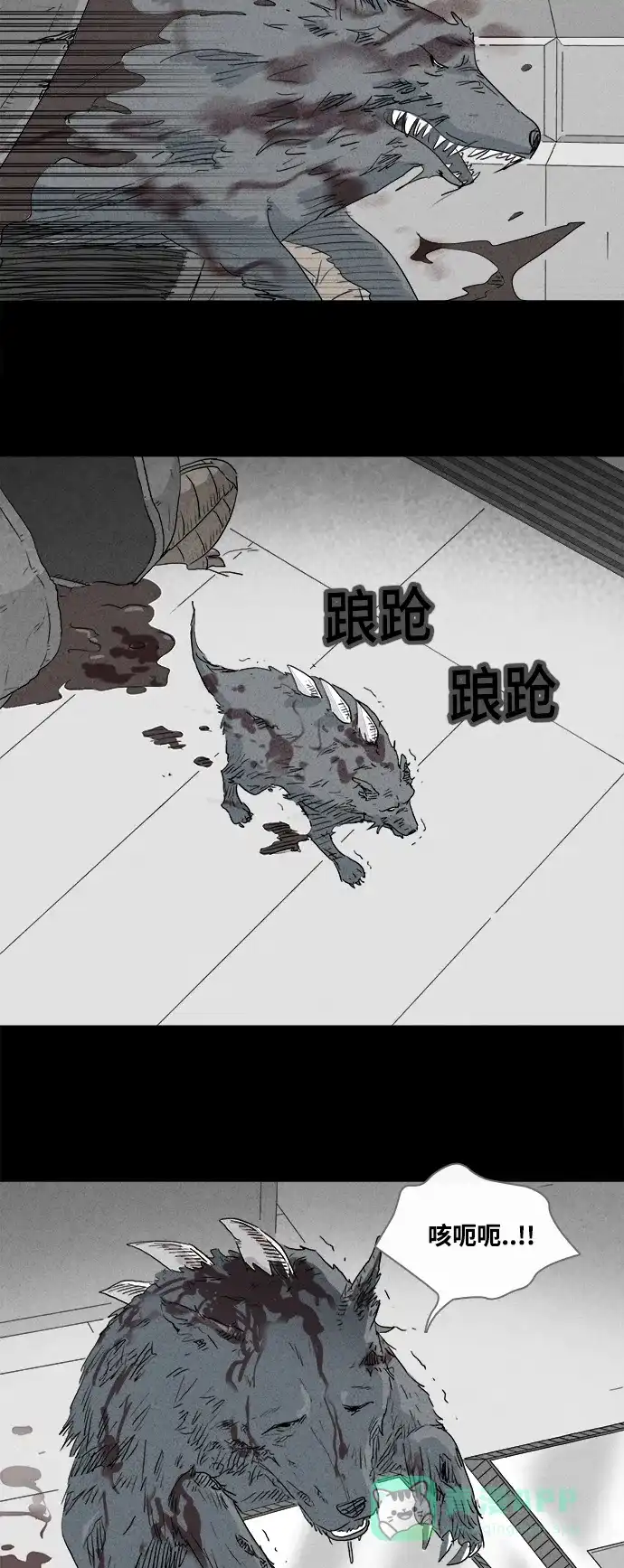 奇奇怪怪 [第381话] 皮囊#5（完） 第11页