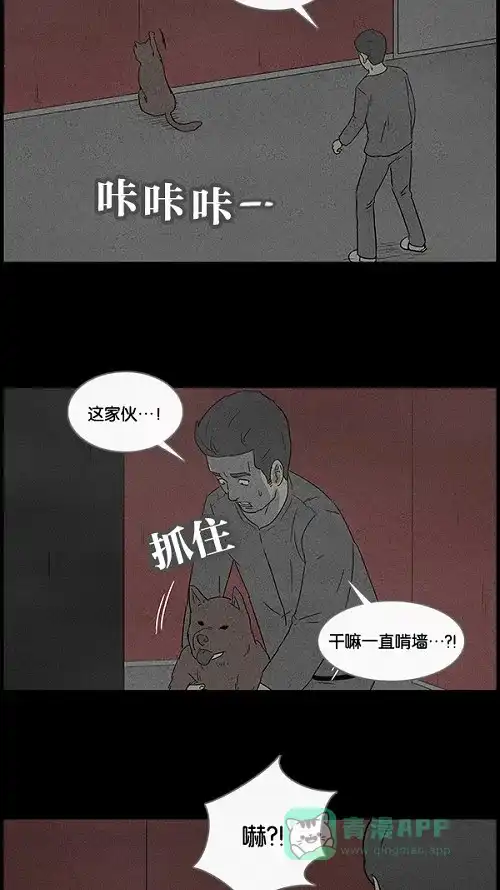 奇奇怪怪 [第50话] 捉鬼#4 第13页