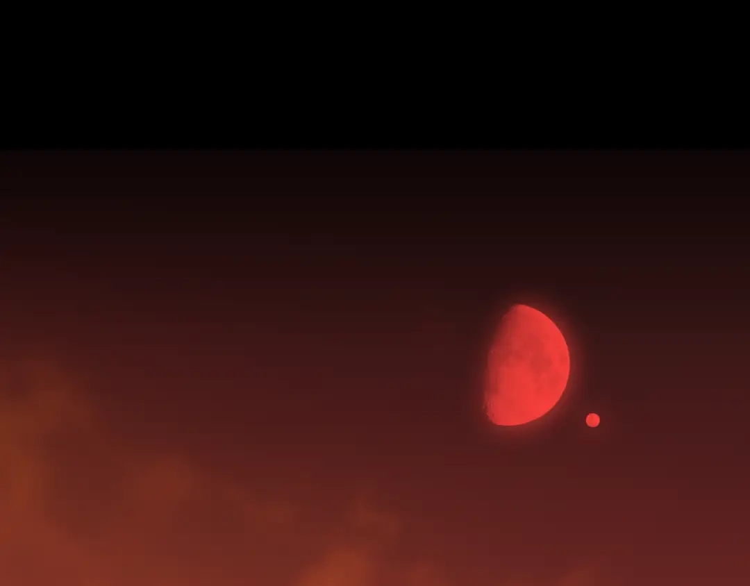 《祈求魔主的方式》第33章 我曾想把你…… 第46页