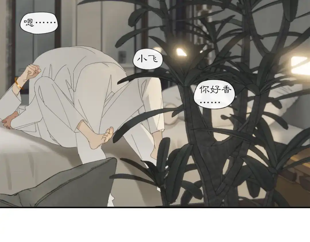 《祈求魔主的方式》第37章 媳妇儿 第19页