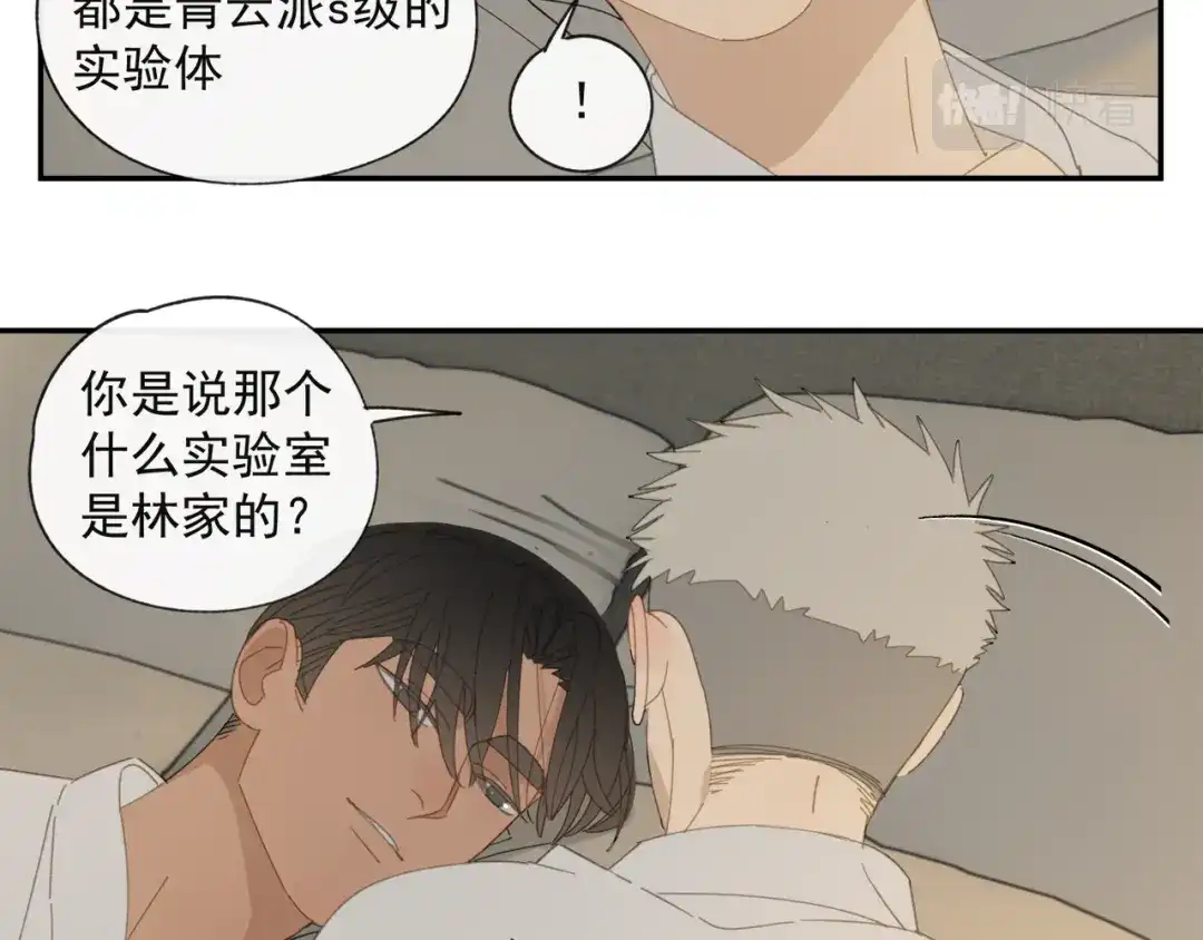 《祈求魔主的方式》第38章 坦白 第11页