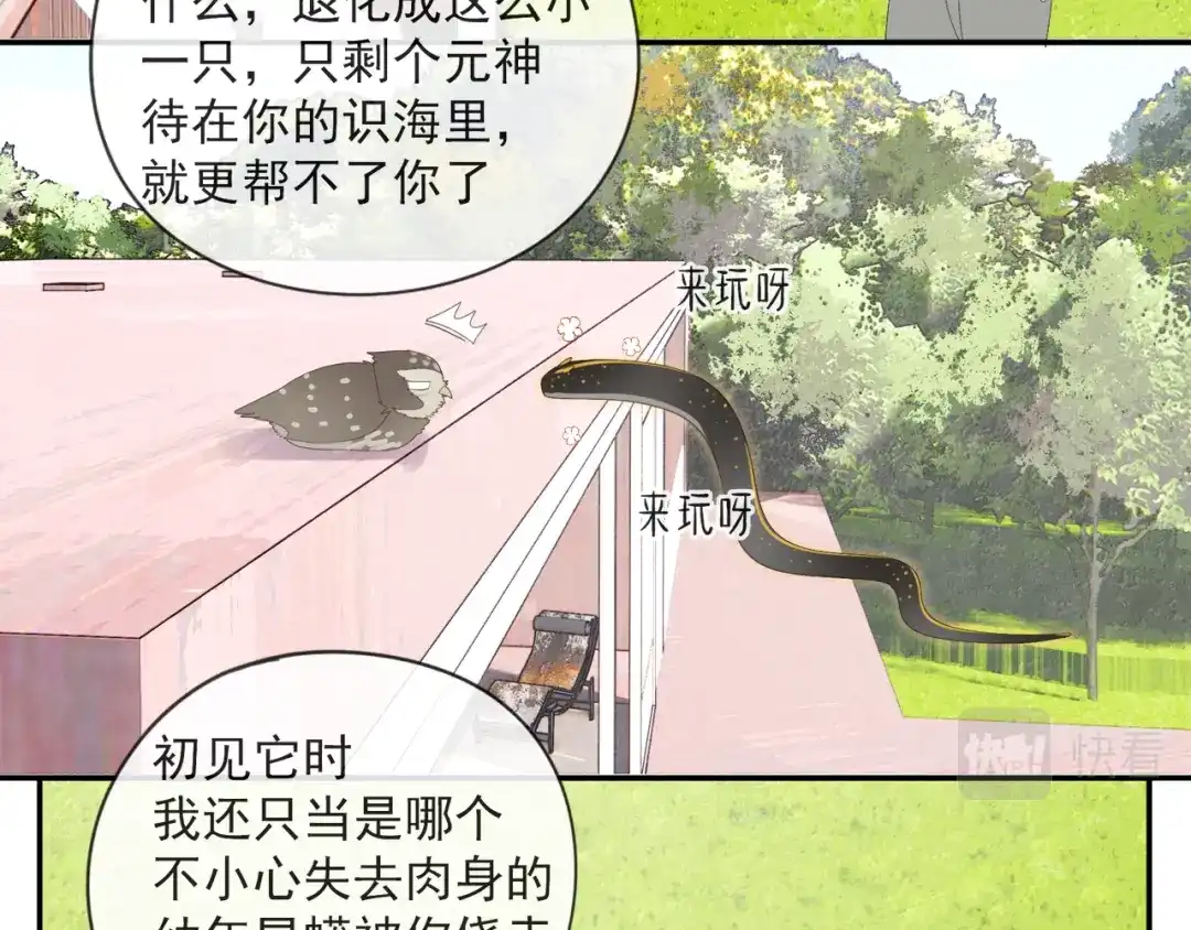 《祈求魔主的方式》第54话 星神和夜神（上） 第39页
