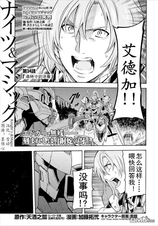 《骑士魔法》第34话 森林中的决着 第1页