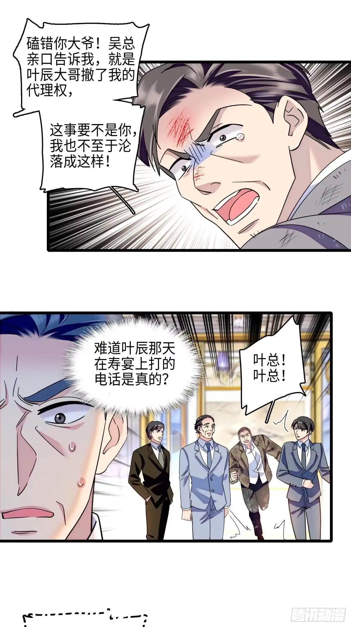 《弃婿当道》33回 叶辰的身份 第14页