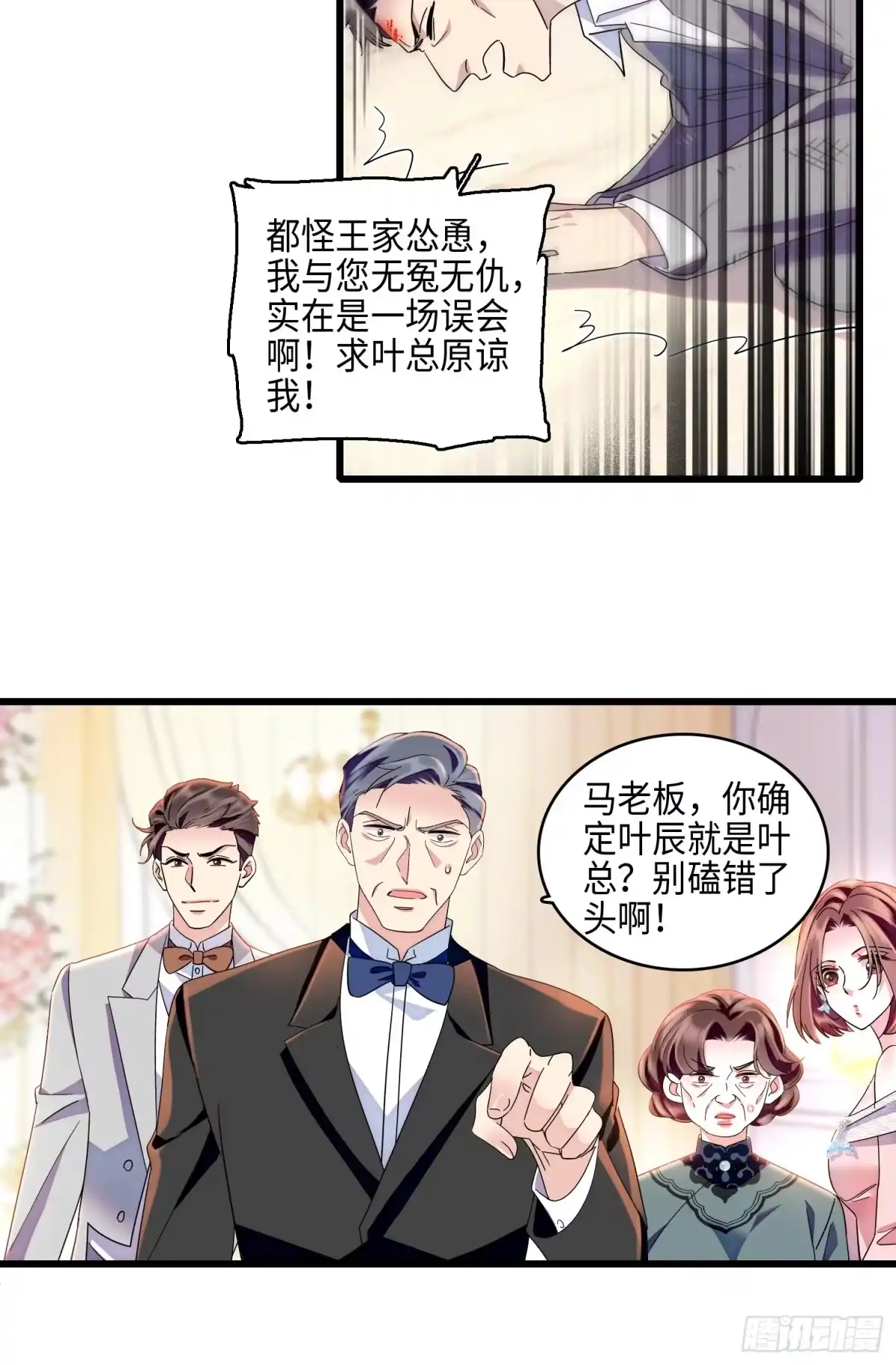 《弃婿当道》33回 叶辰的身份 第13页