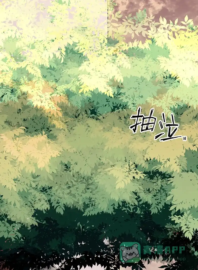《其叶为五》第28话 第5页