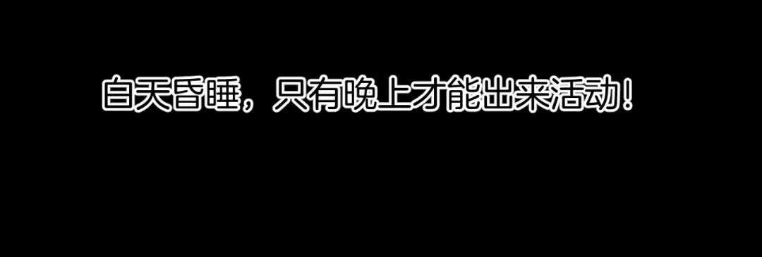 《奇异档案》第27话 不要打开那扇门 第11页