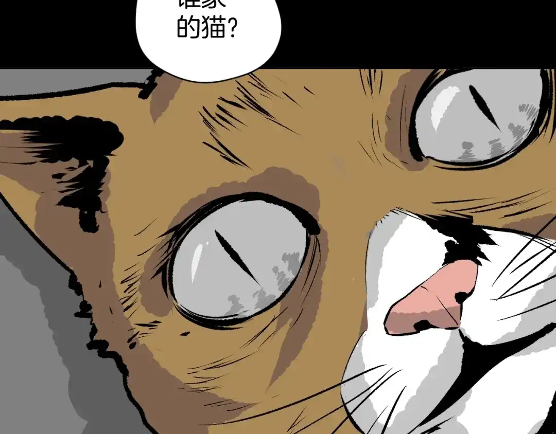 《奇异档案》第6话 猫的报恩（1） 第7页