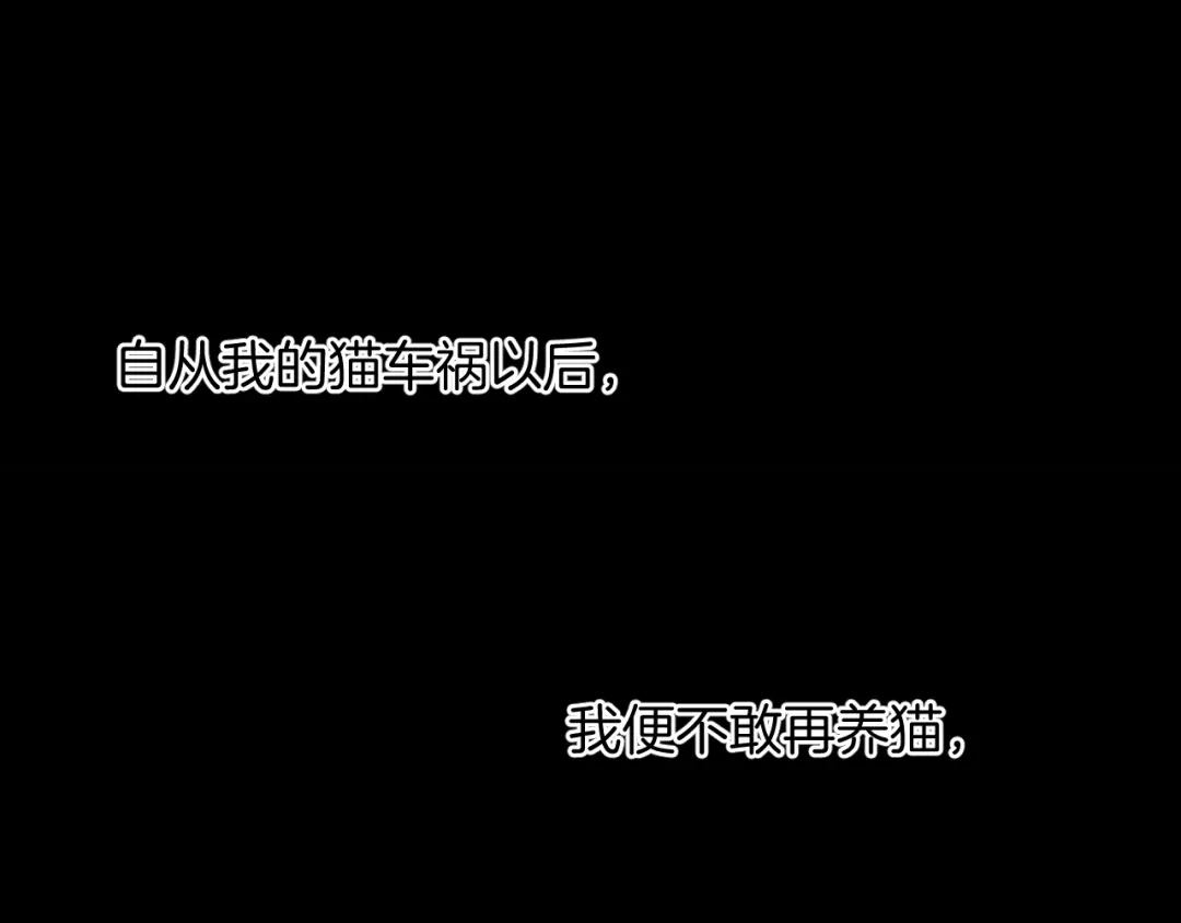 《奇异档案》第6话 猫的报恩（1） 第19页