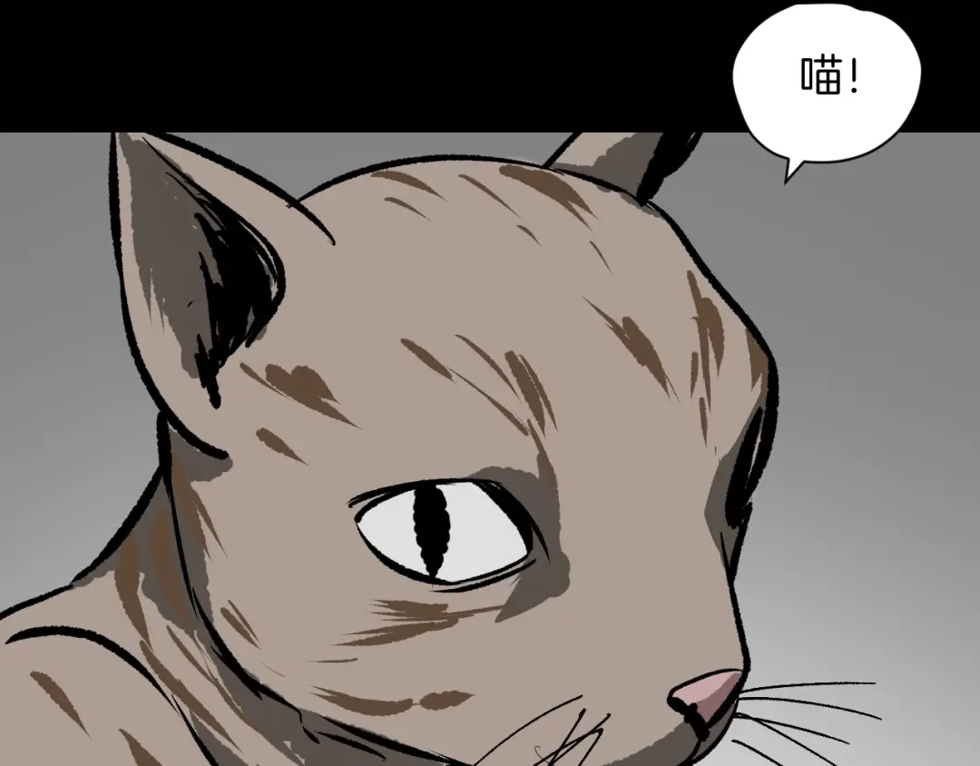 《奇异档案》第8话 猫的报恩（3） 第72页
