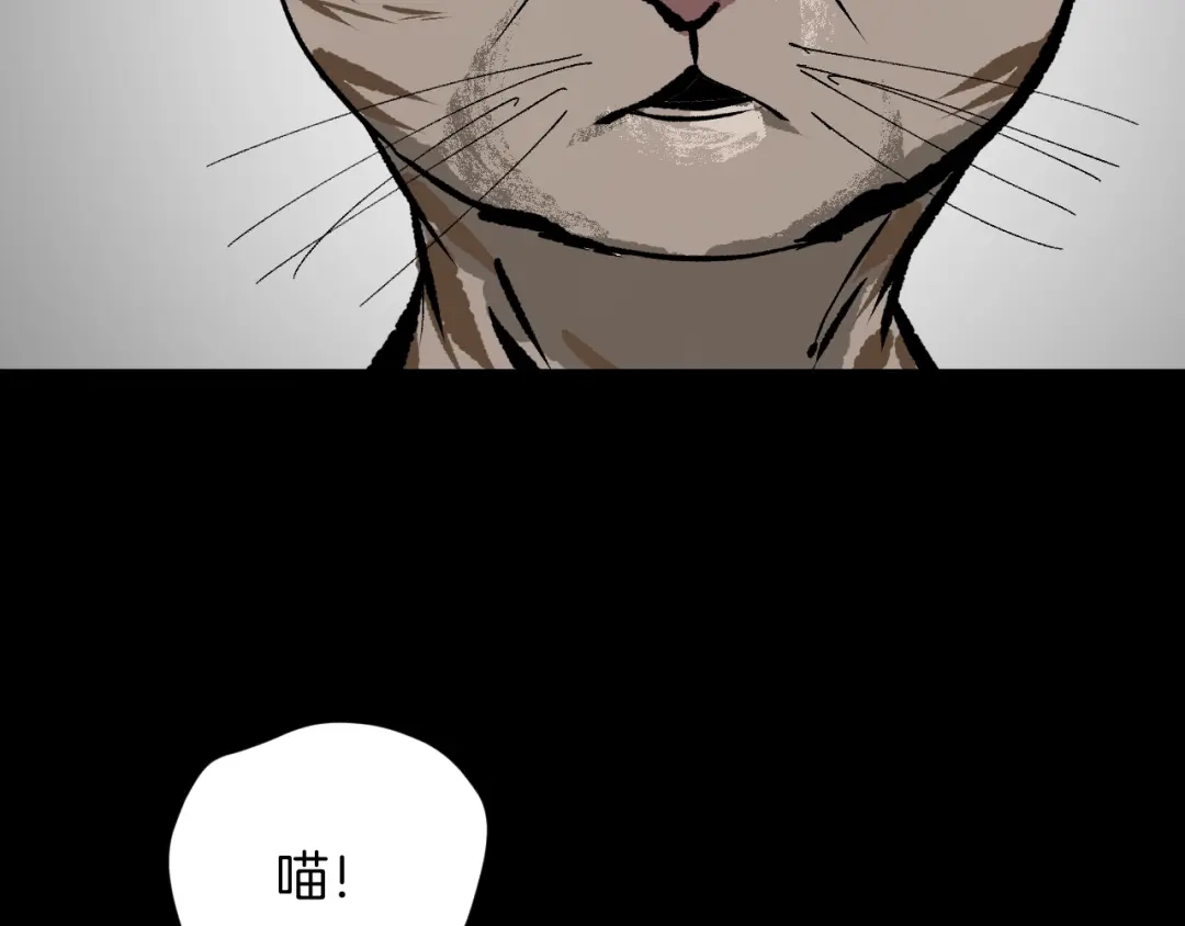 《奇异档案》第8话 猫的报恩（3） 第111页