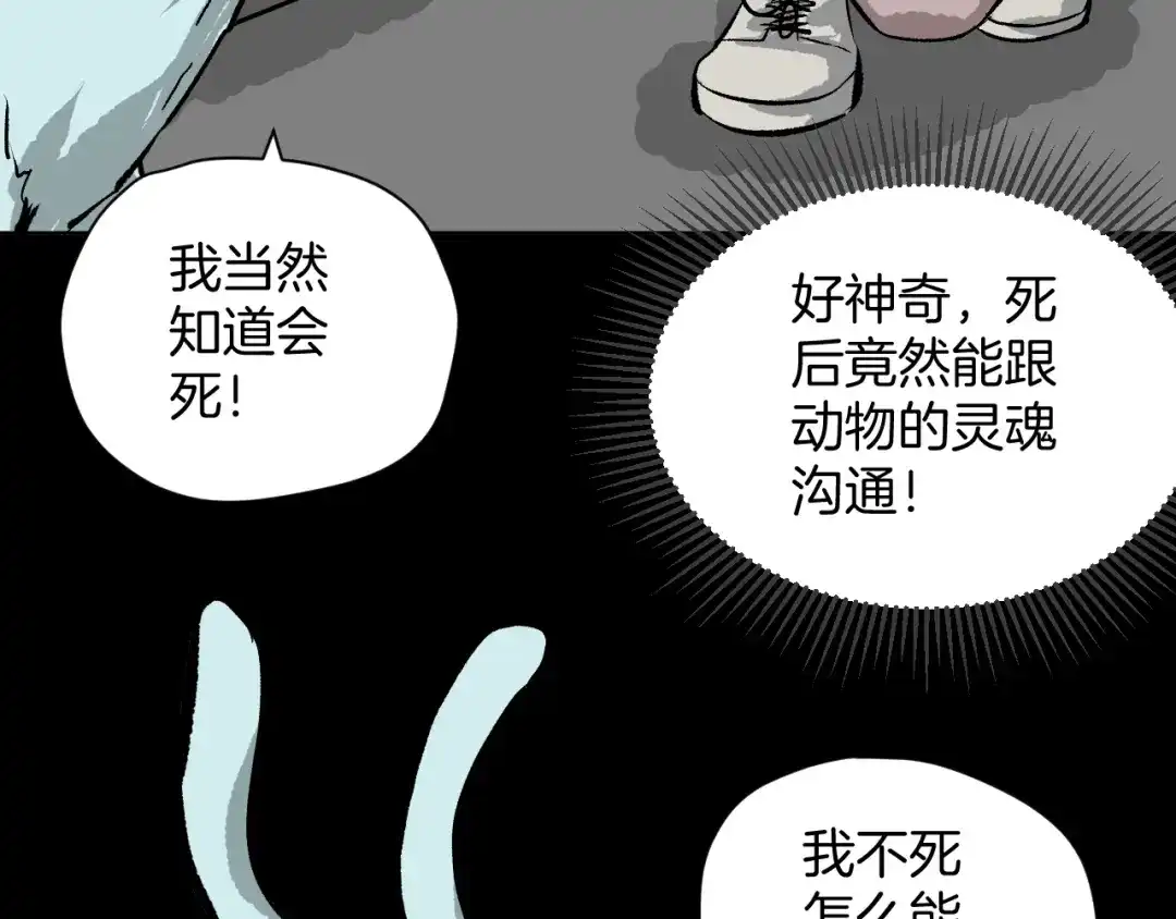 《奇异档案》第8话 猫的报恩（3） 第31页